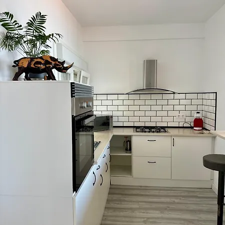 El Nido De La Gaviota